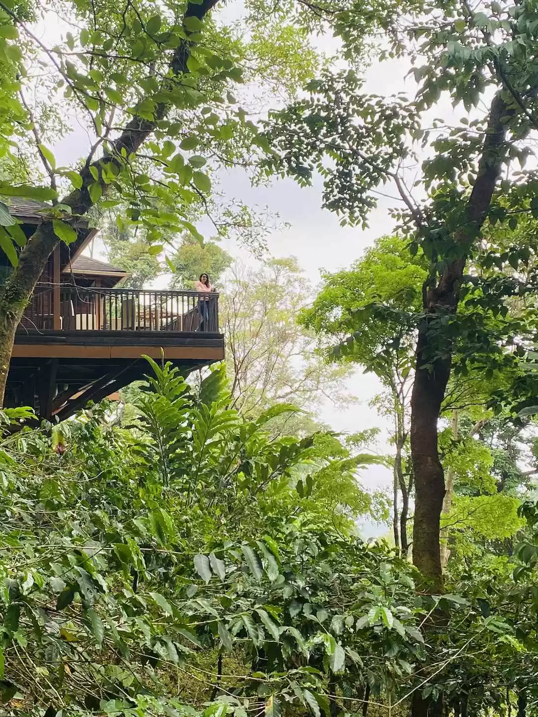 Photo of Exploring the S