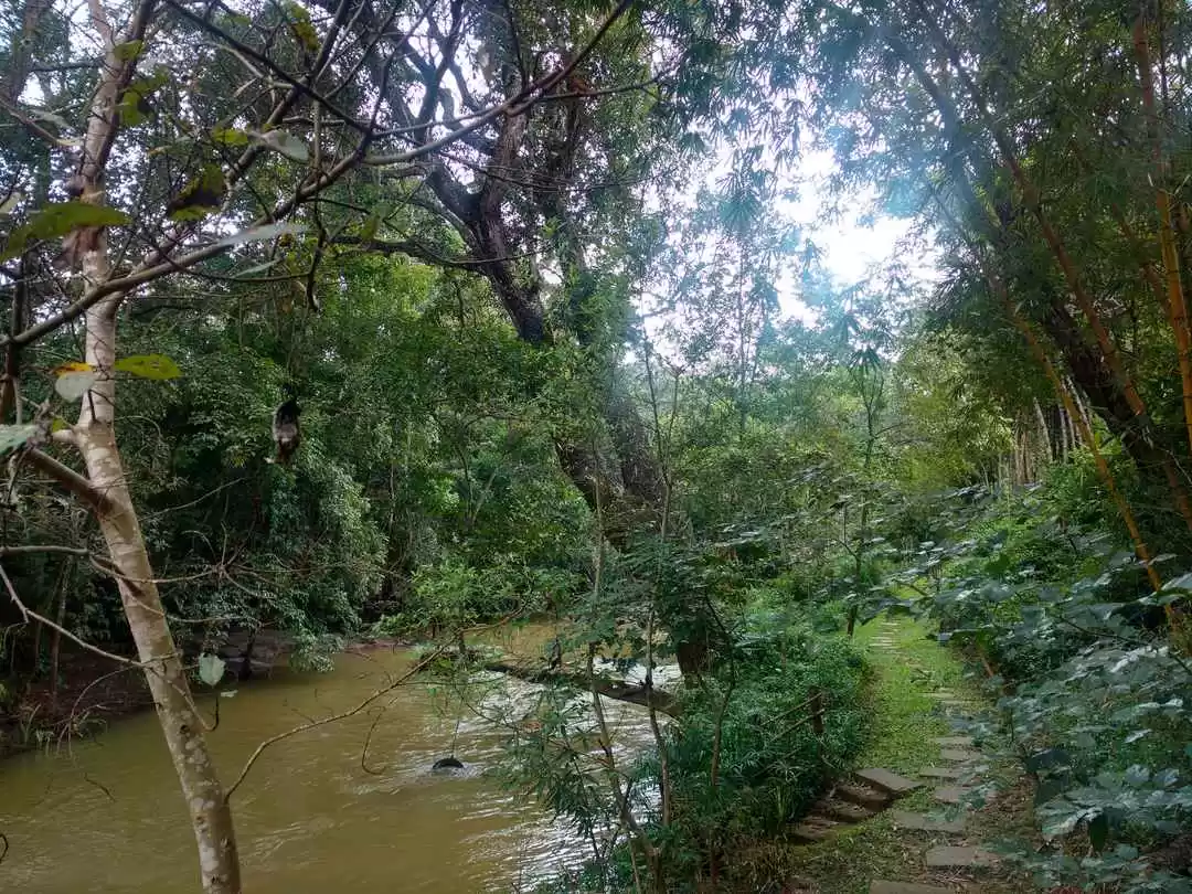 Photo of River Trekking 