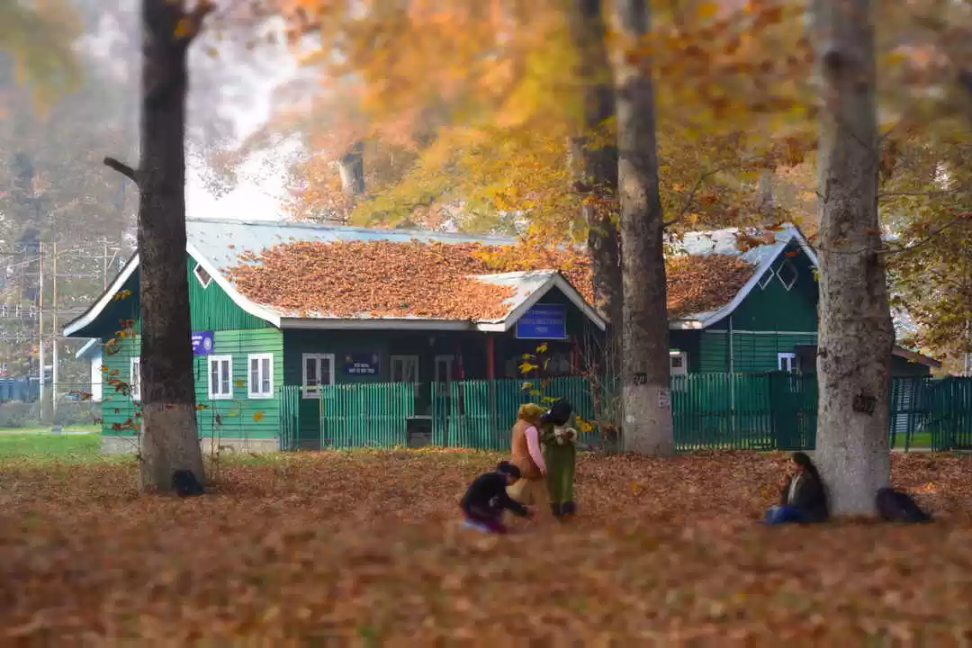 Photo of Harud: Colours 