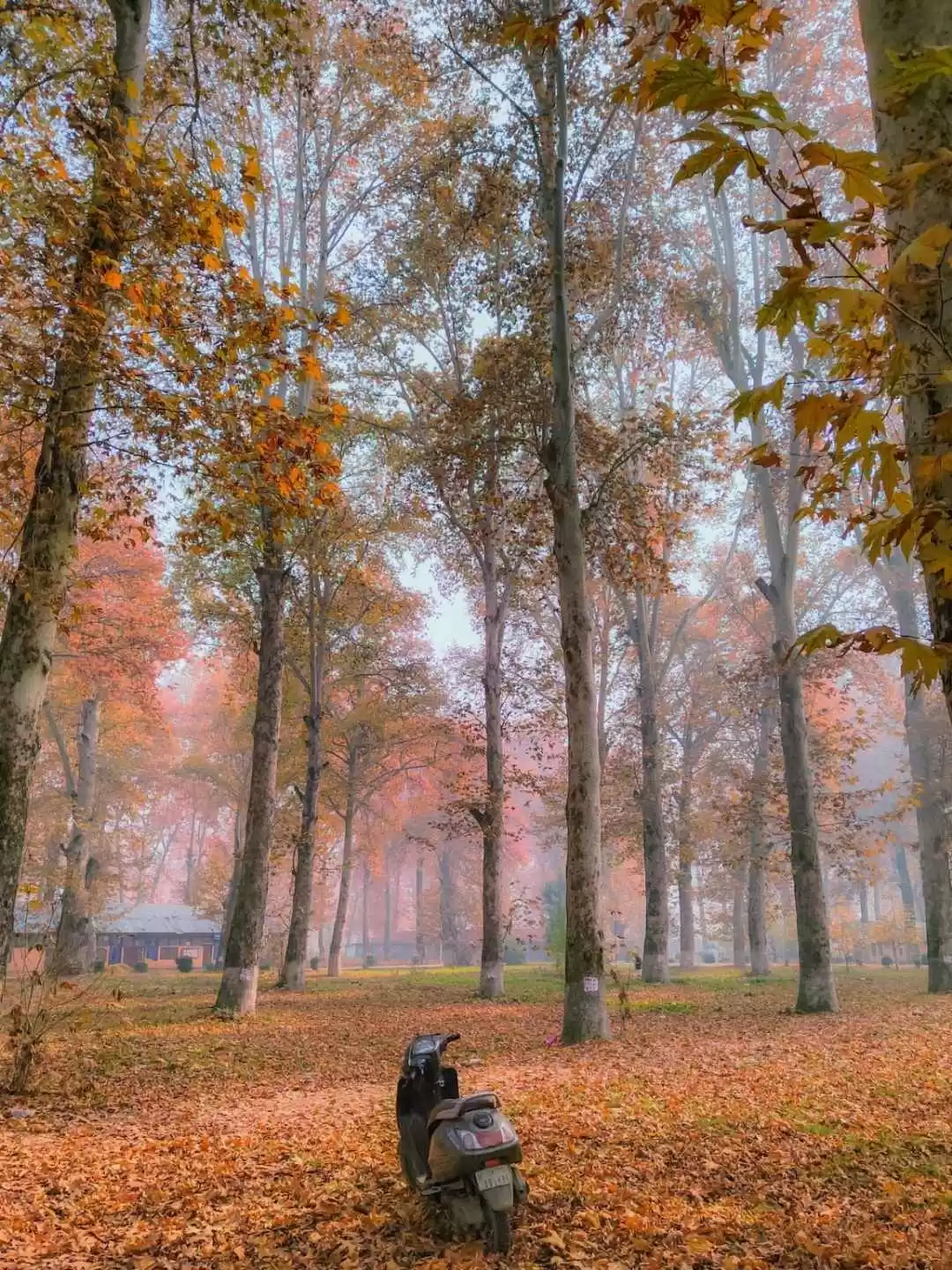 Photo of Autumn in Kashm