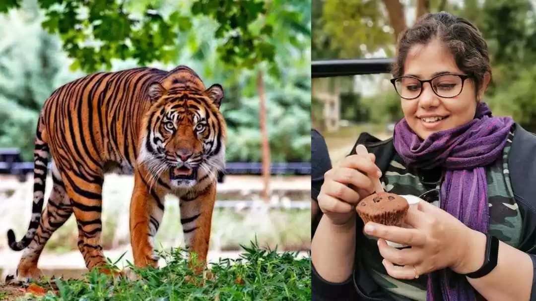 Photo of Best places to 