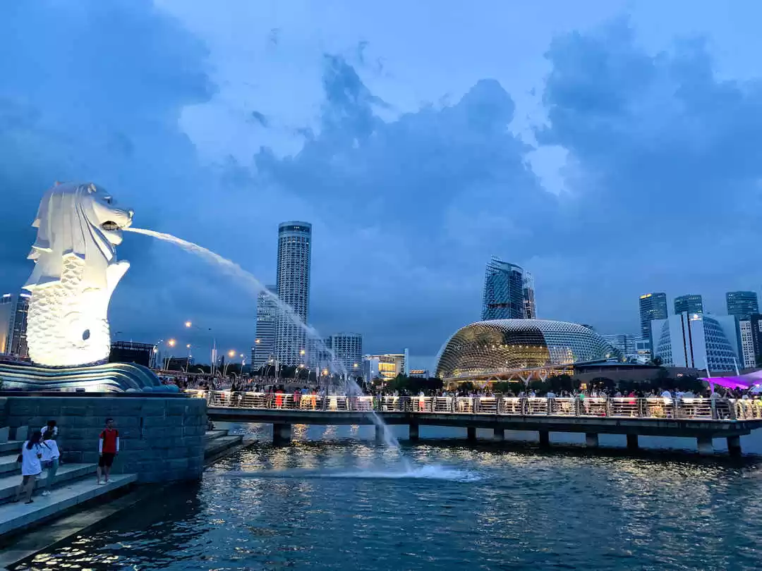 Photo of How to Plan You