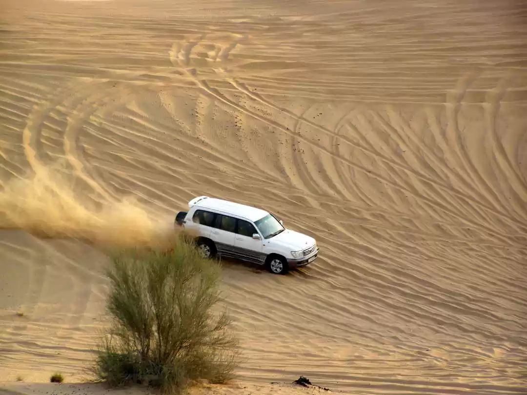 Photo of Desert Safari a