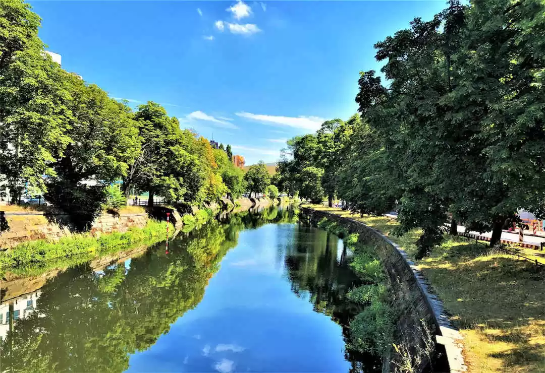 Photo of Free Things To 