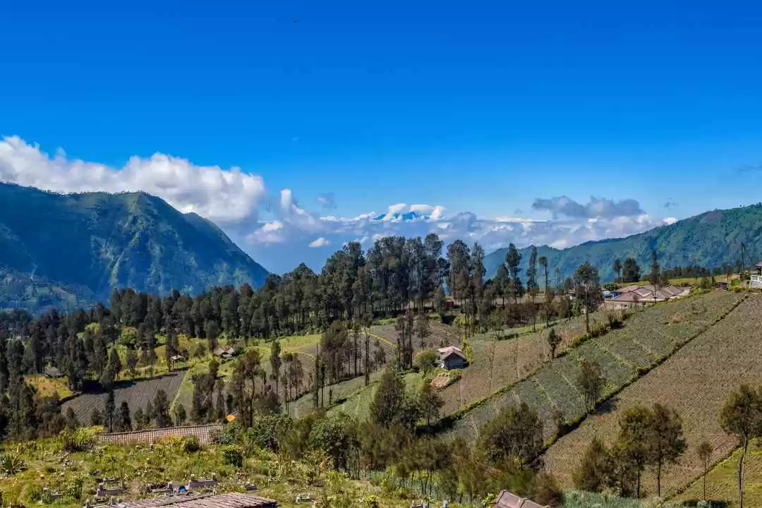 Photo of 10 Best Travel 