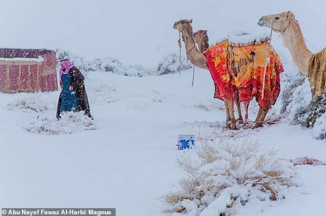 Photo of Sahara Desert &