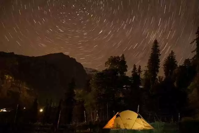 Photo of 10 Beautiful Bu