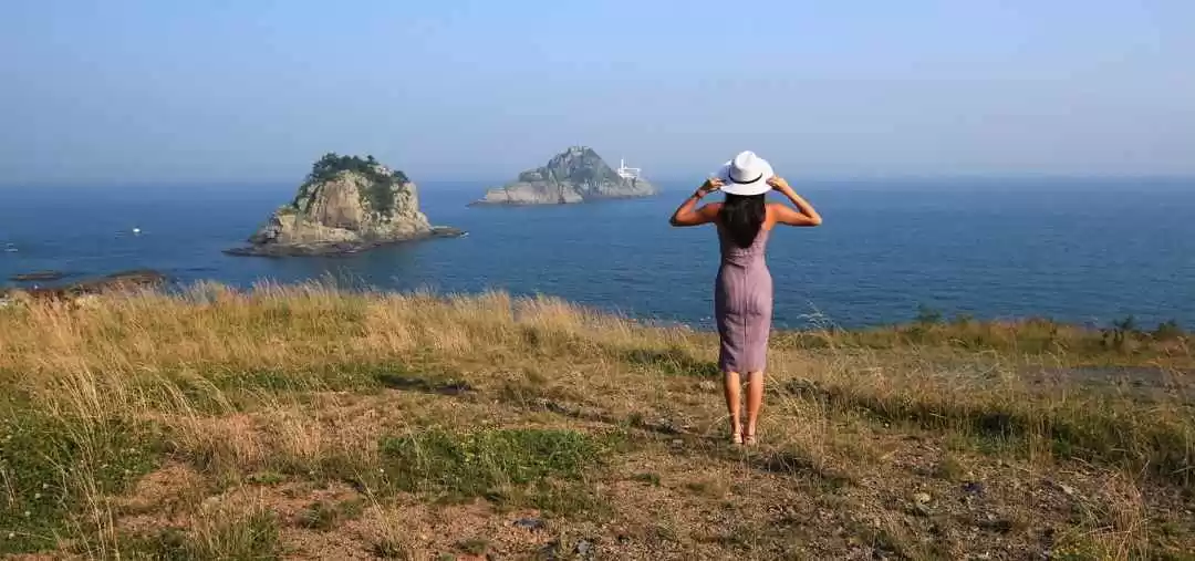 Photo of What to Do, See