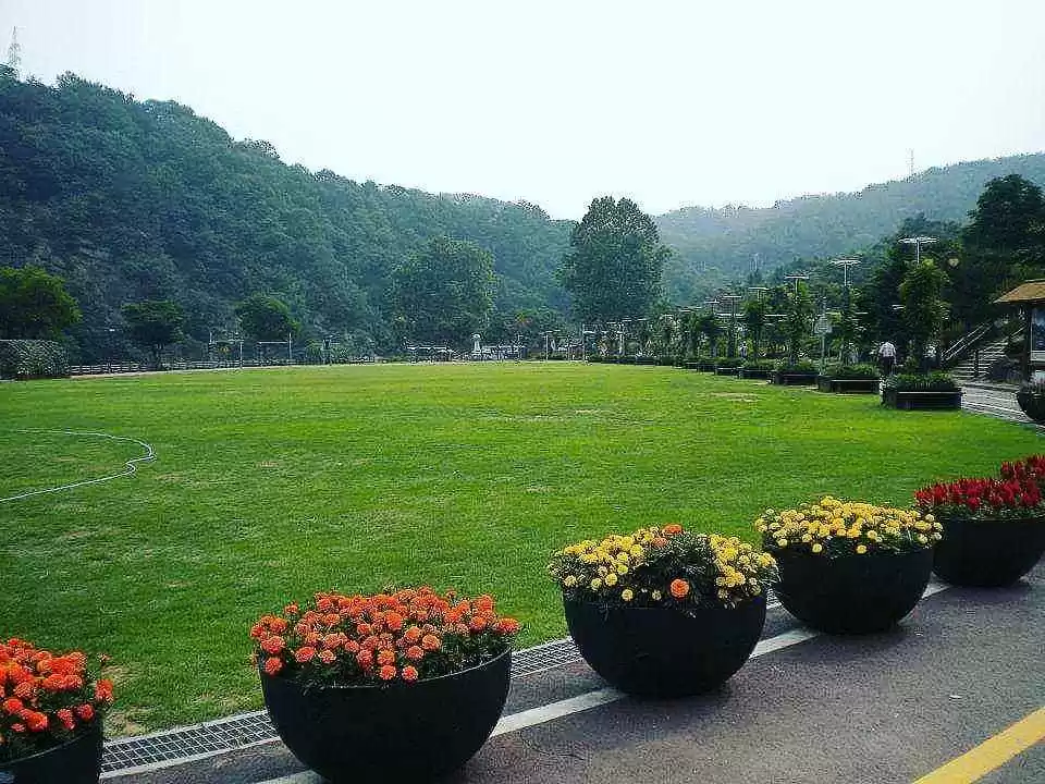 Photo of South Korea: Th