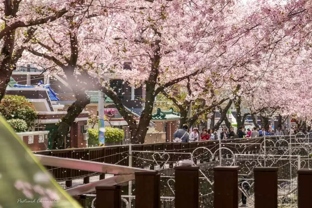 Photo of 12 Photos to Sh