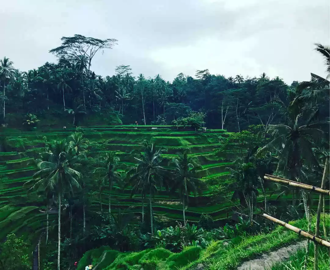 Photo of Bali: 6 Things 