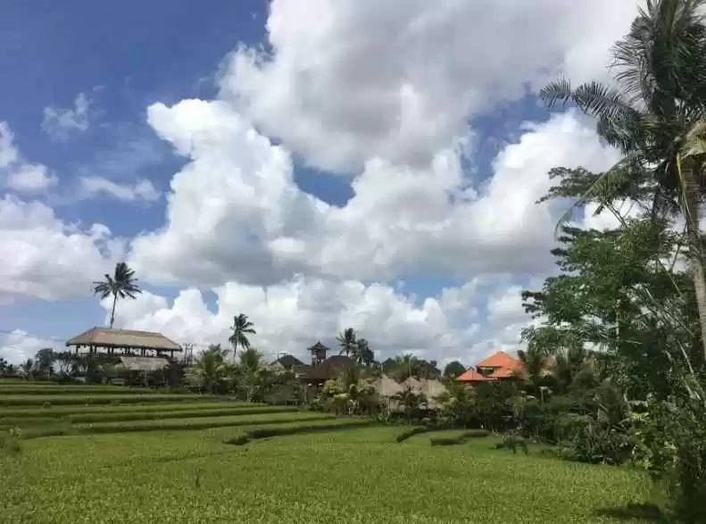 Photo of 10 Things you N