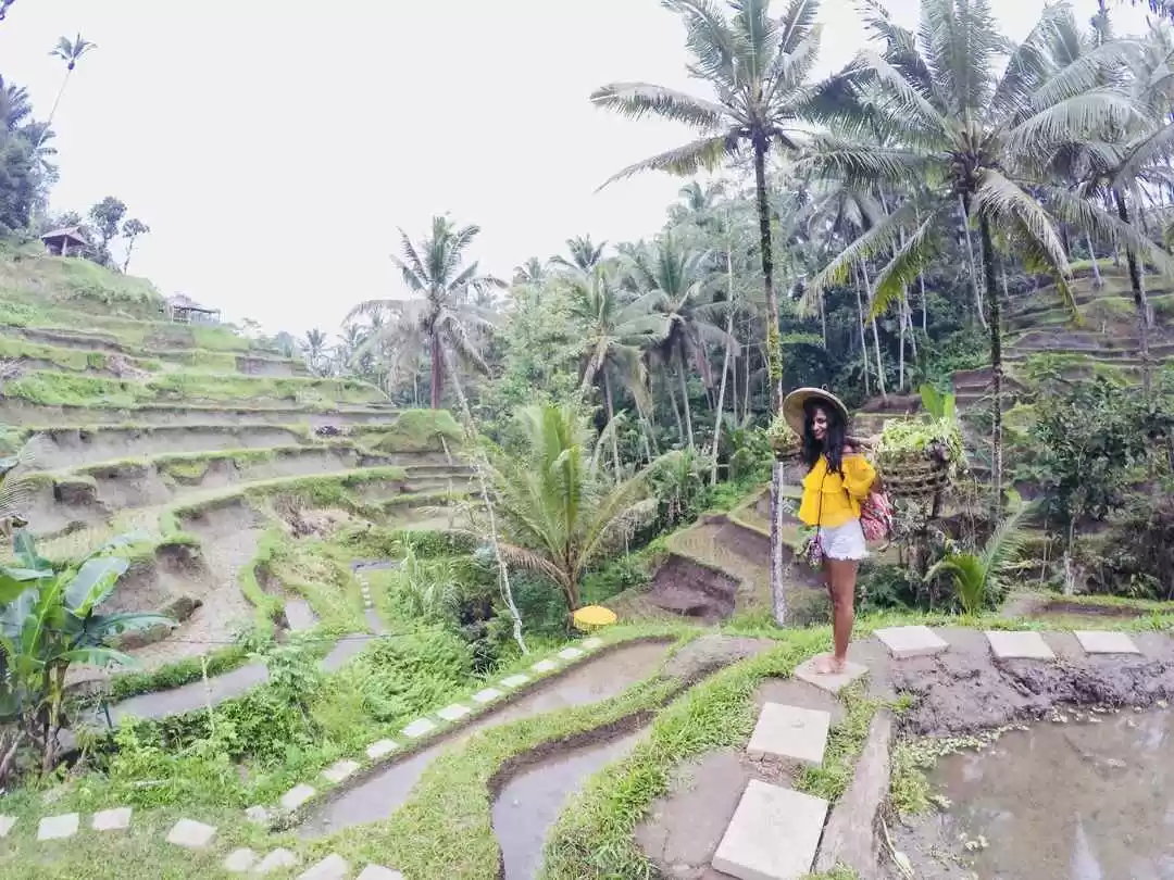 Photo of Offbeat Guide: 