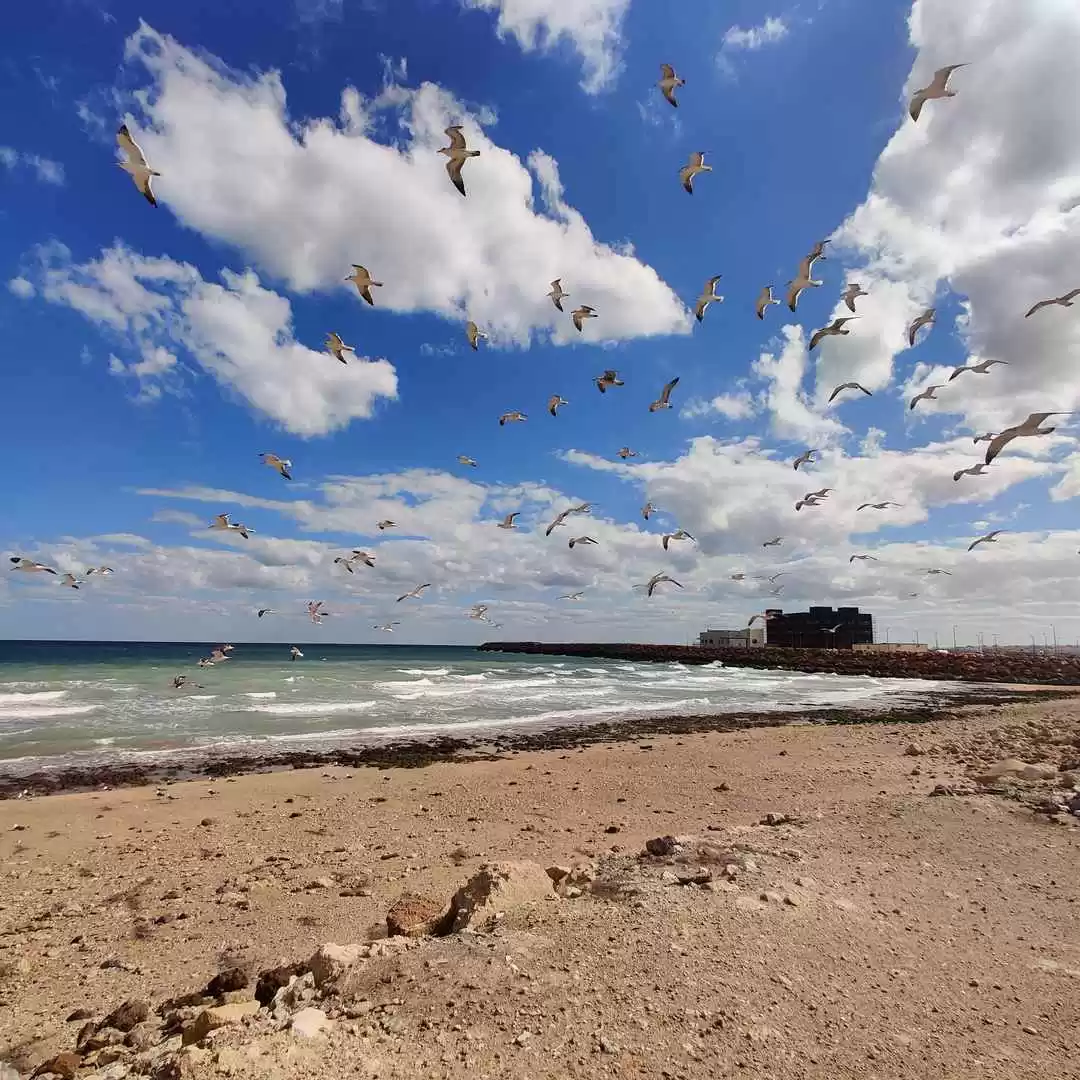 Photo of Reasons Why You