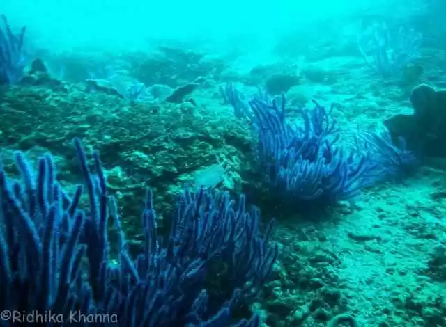 Photo of My Experience o