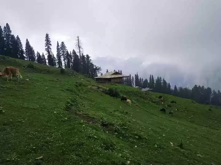 Photo of Travel Guide to