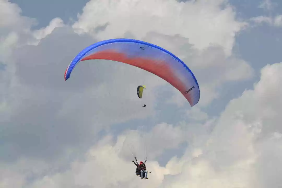 Photo of Things to do in