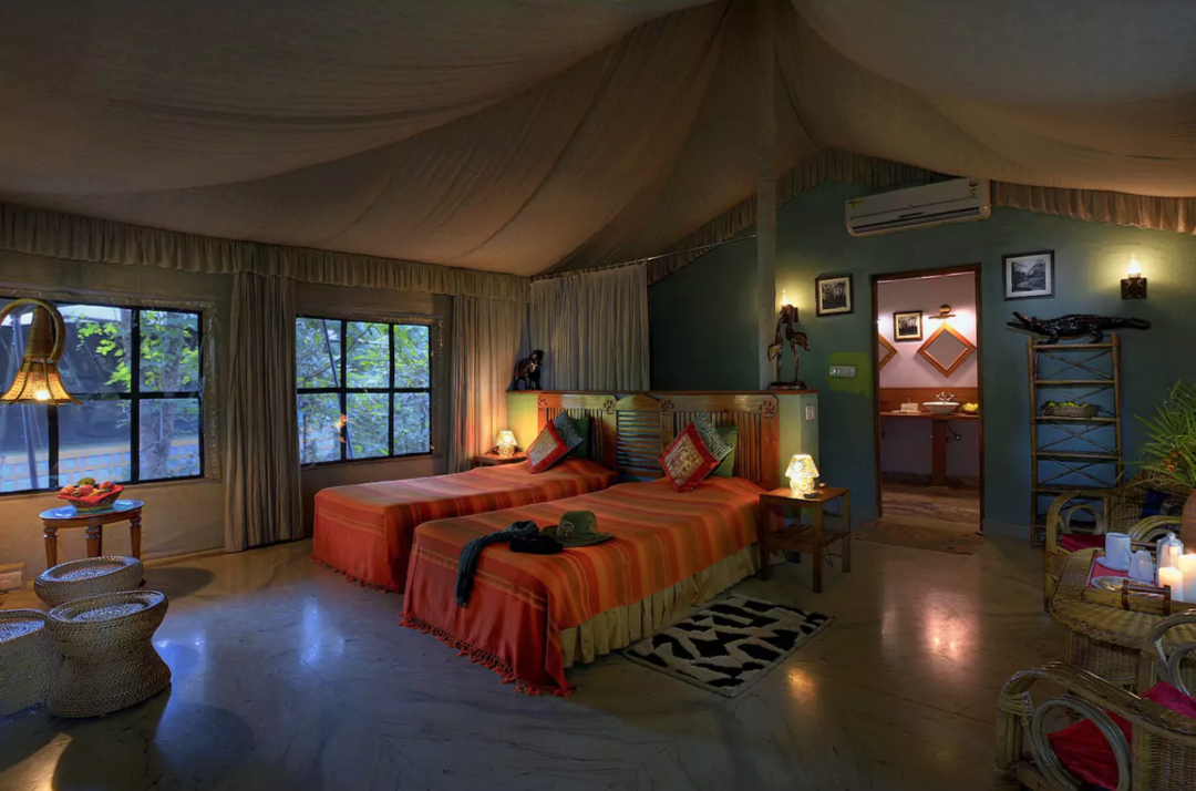 Photo of Luxurious Jungl