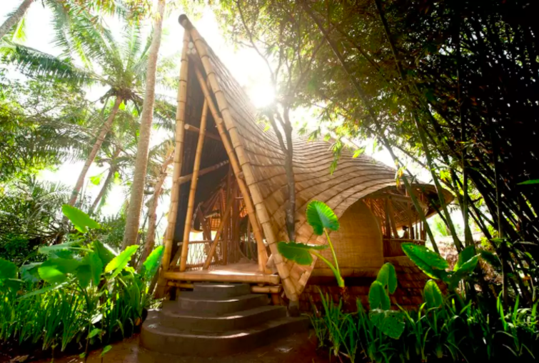 Photo of Bamboo House: T