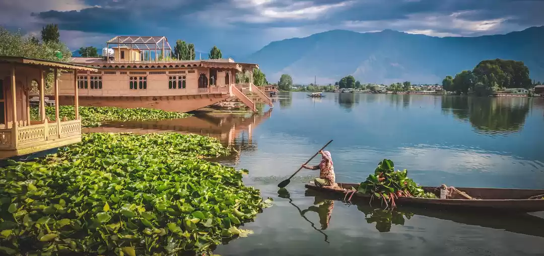 Photo of Kashmir