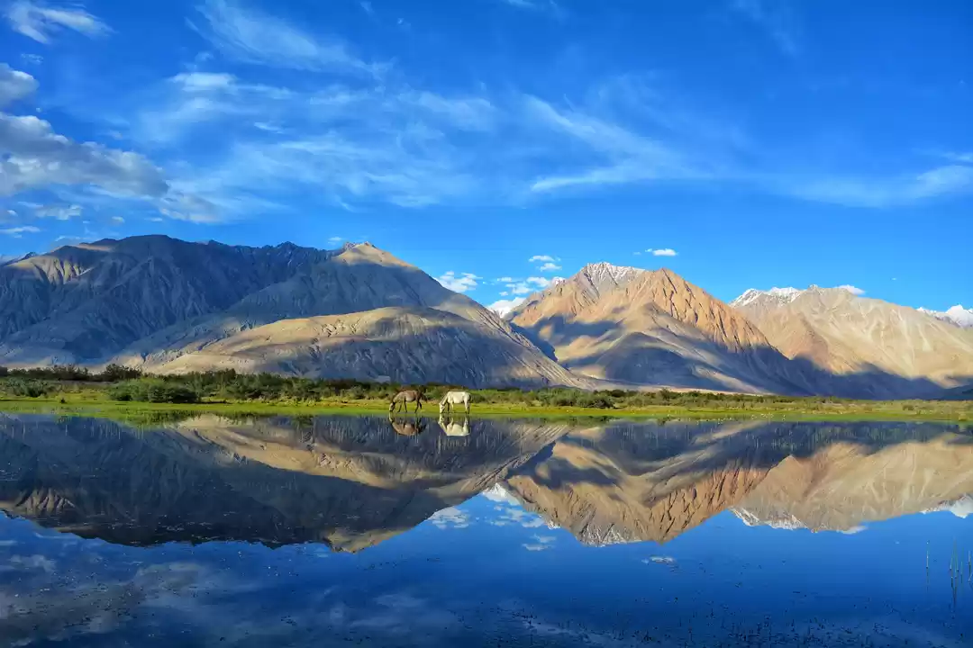 Photo of Ladakh