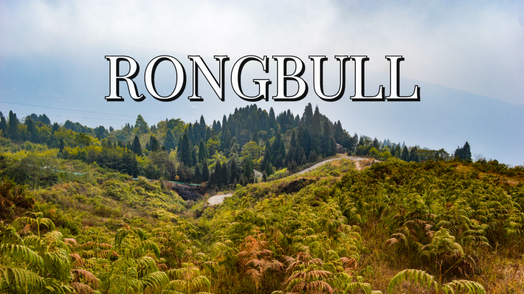 Photo of Rongbull - Perf