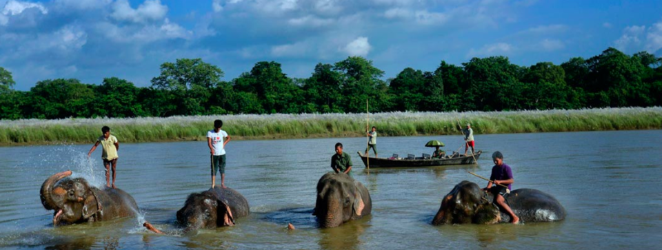 Photo of Chitwan Nationa