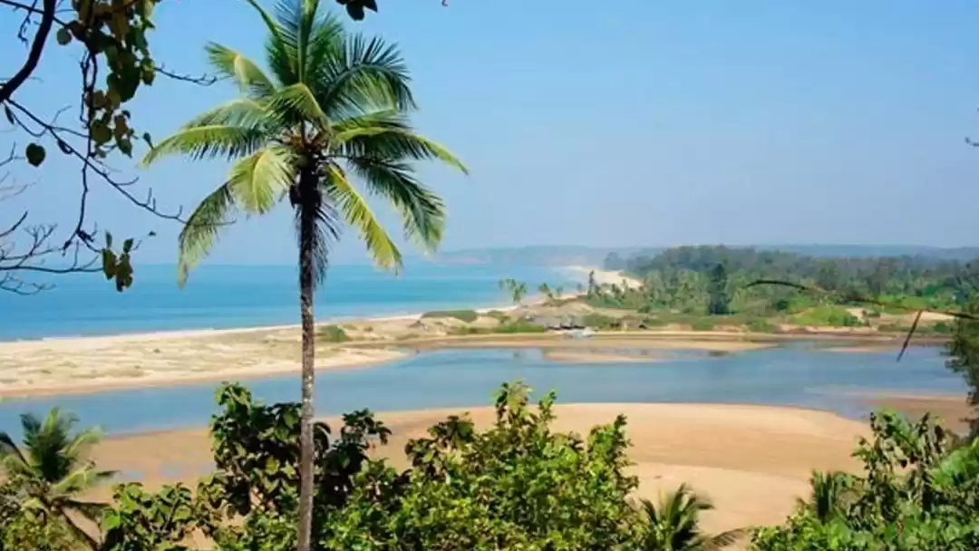 Photo of Morjim Beach