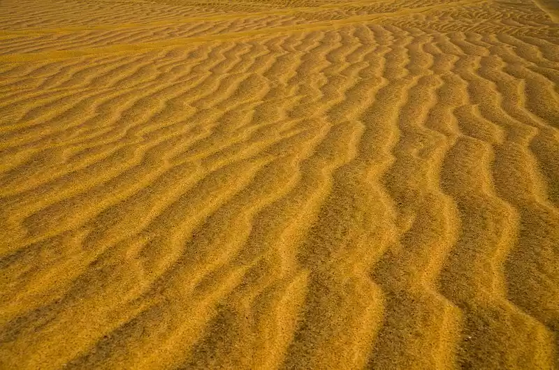 Photo of A Thrilling Ride Alo