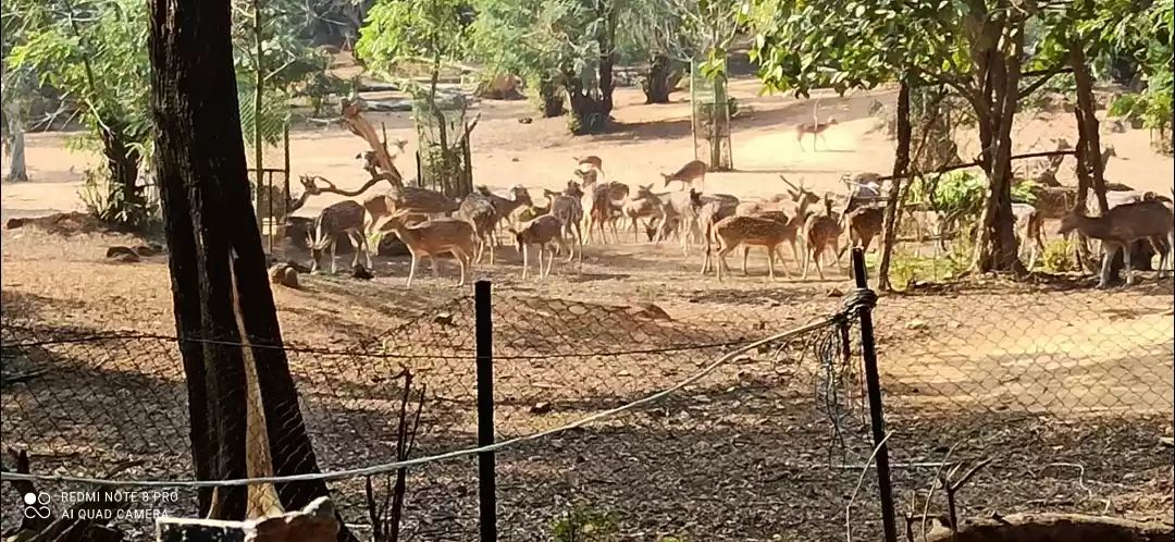 Photo of Ballavpur Wildlife Sanctuary & Deer Park