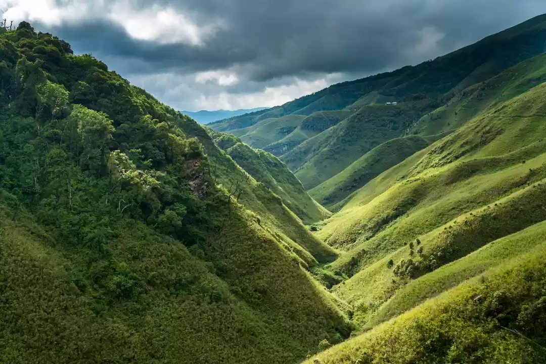 नगालैंड