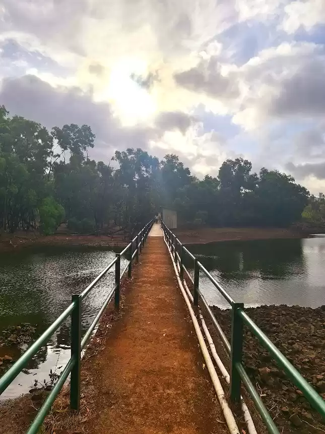 Photo of Monsoons in the West