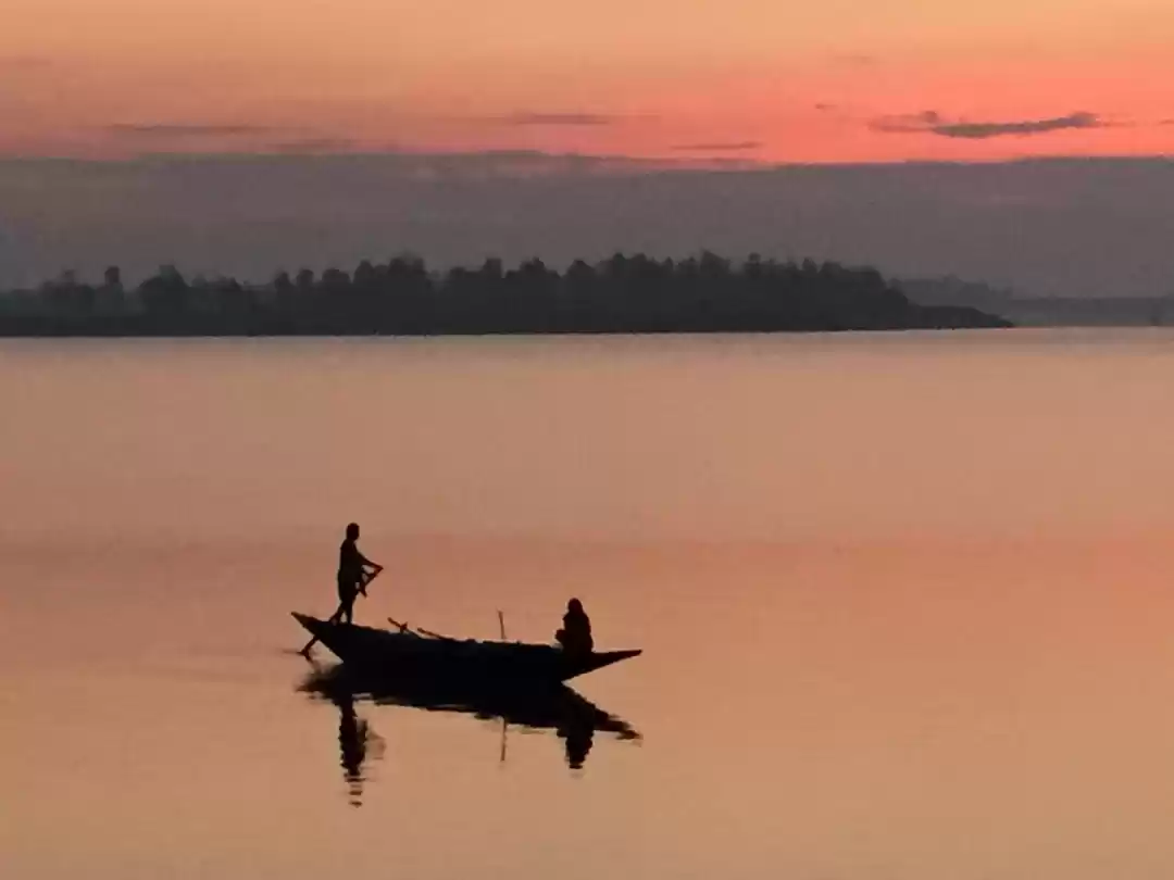 Photo of The Sundarbans