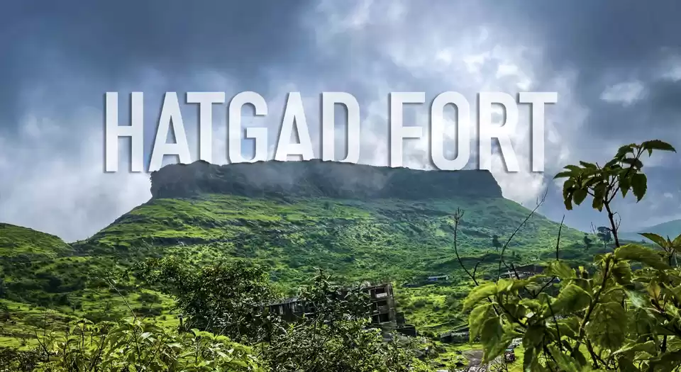 Photo of This Gorgeous Trek T