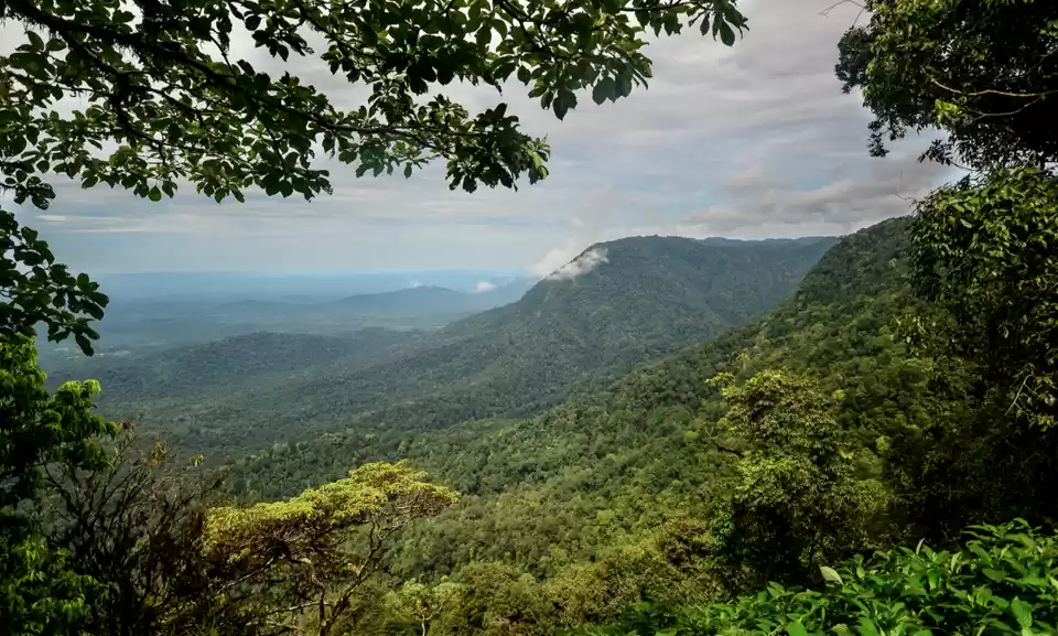 Agumbe In Karnataka Is Known As The 'Cherrapunji Of The South'