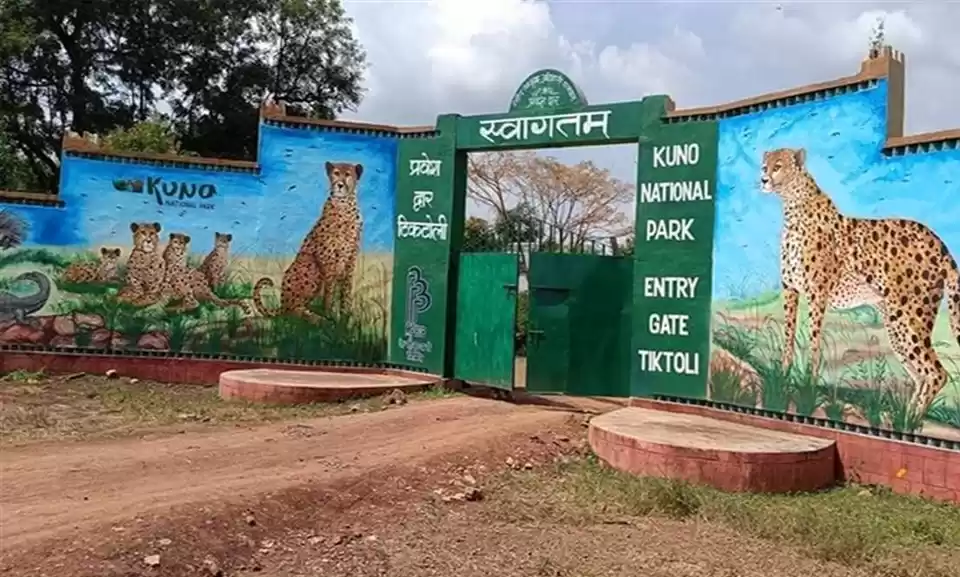 Photo of The Kuno Festival: S