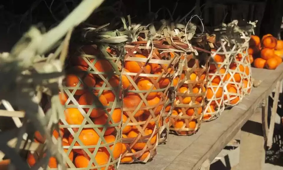 Photo of Forget Nagpur, Explo