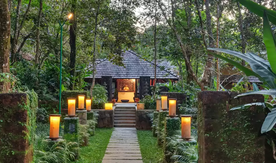 Photo of 7 Best Jungle Lodges