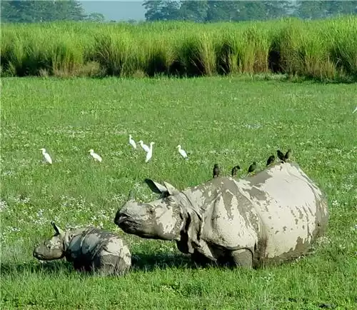 Photo of Jorhat