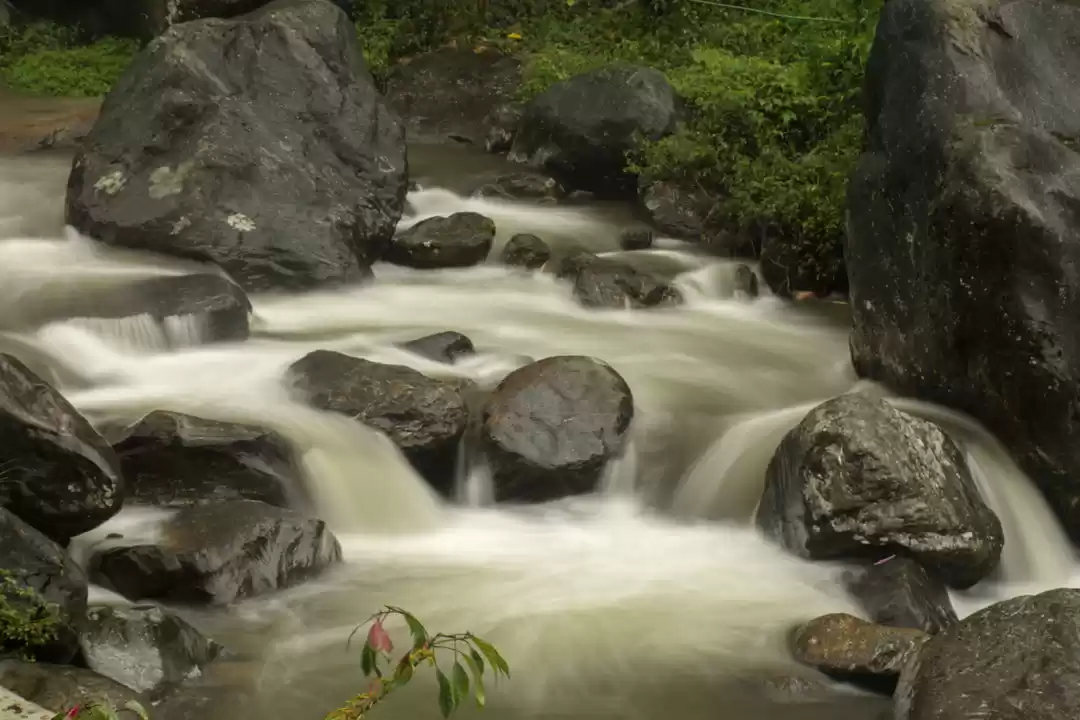 Photo of Hidden Gem of Dooars