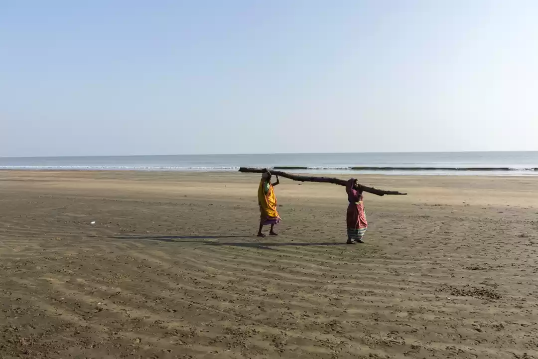 Photo of Tajpur - The Lonely 