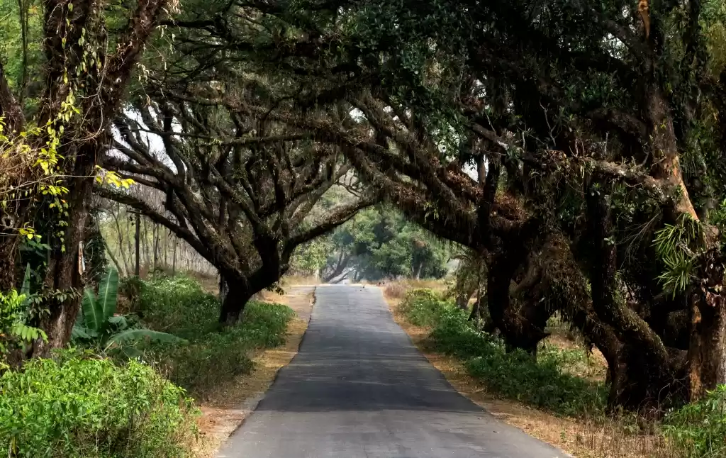 Photo of Suntalekhola - A lit