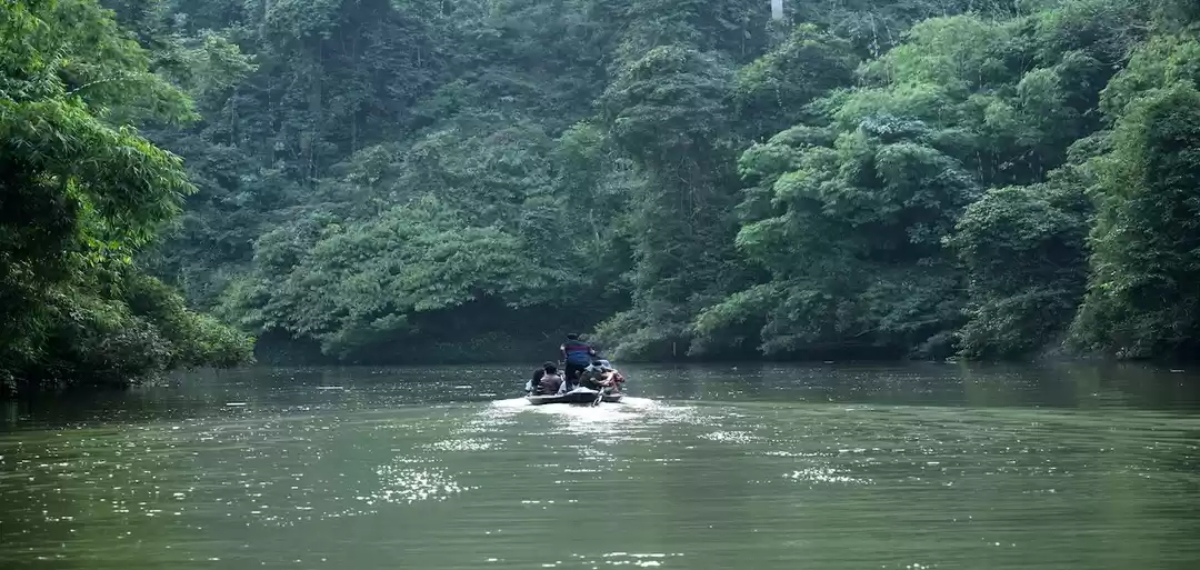 Photo of The Amazon of Tripur