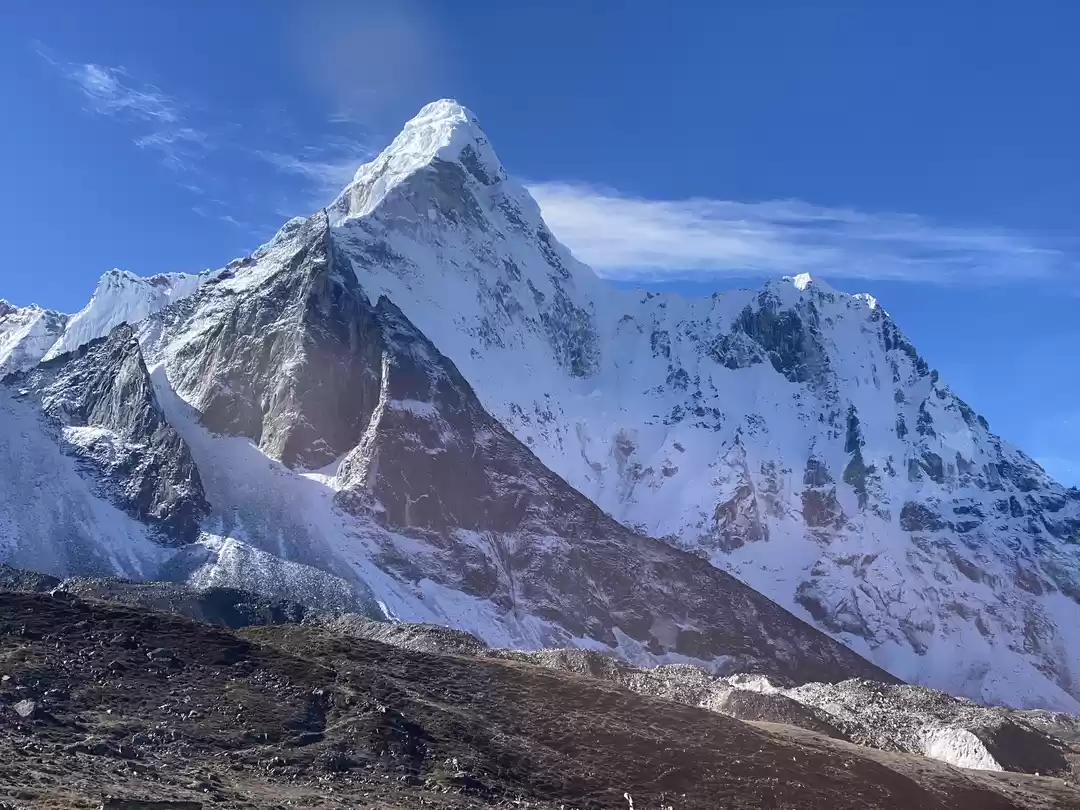 Photo of Punjab boy shares hi