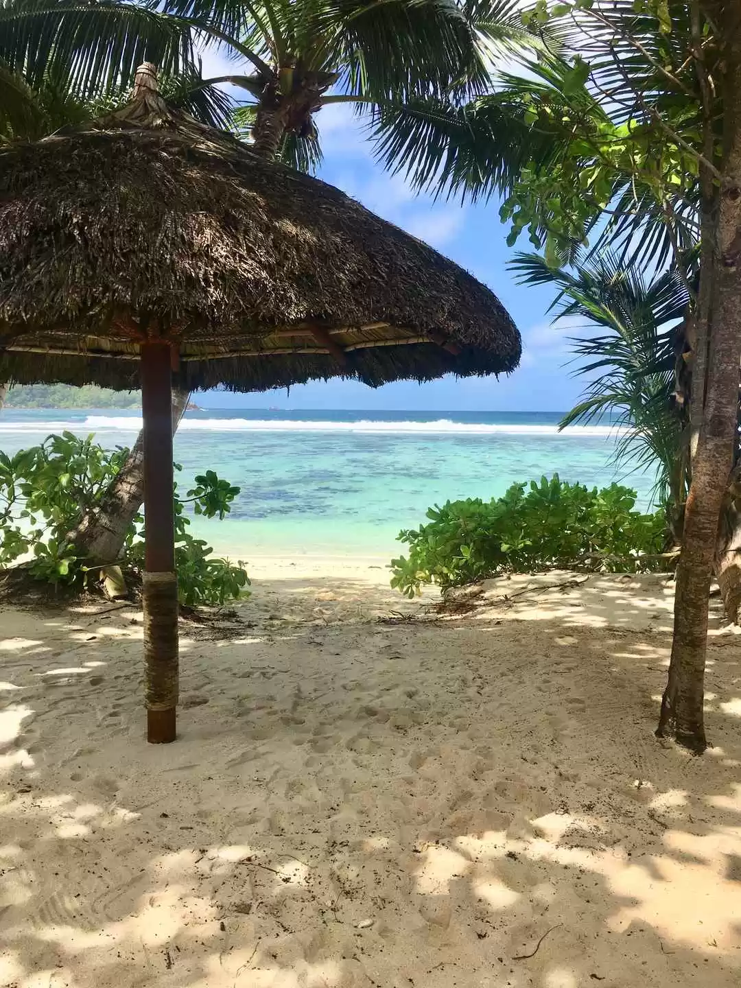 Photo of 5 reasons to vi