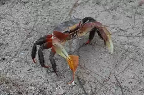 Photo of Wild Side of Se