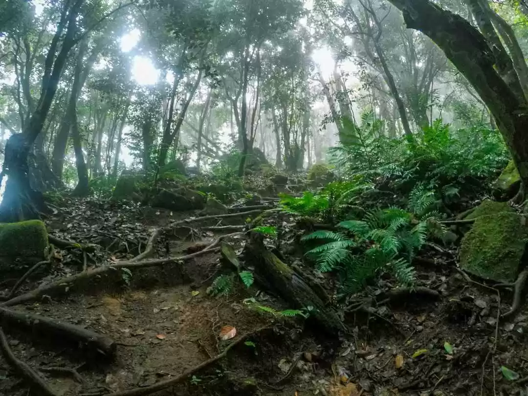 Photo of Best Hike in Se