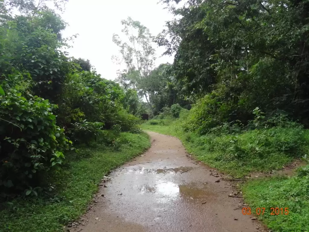 Photo of Iruppu Falls