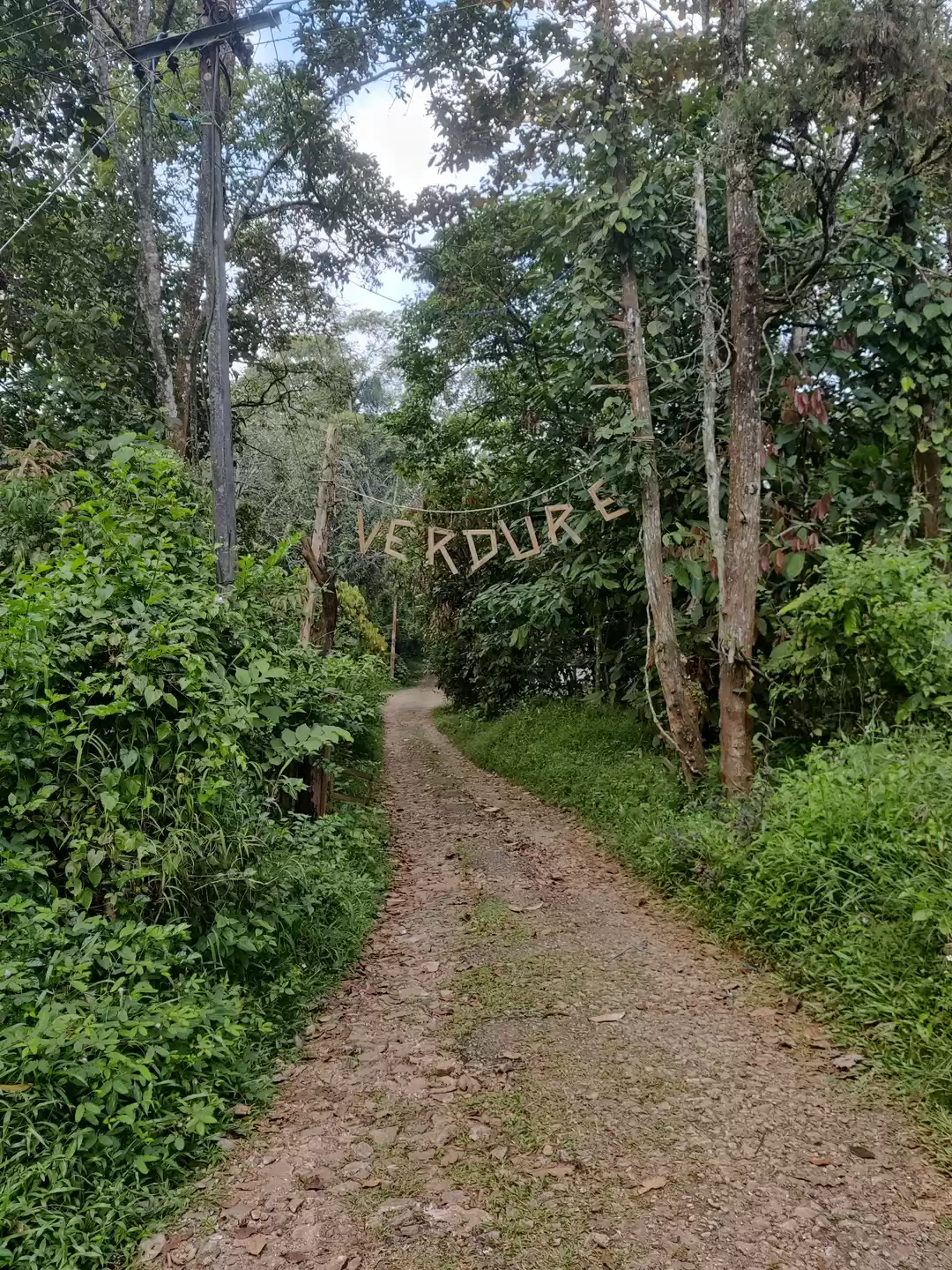 Photo of Wayanad: Green Parad