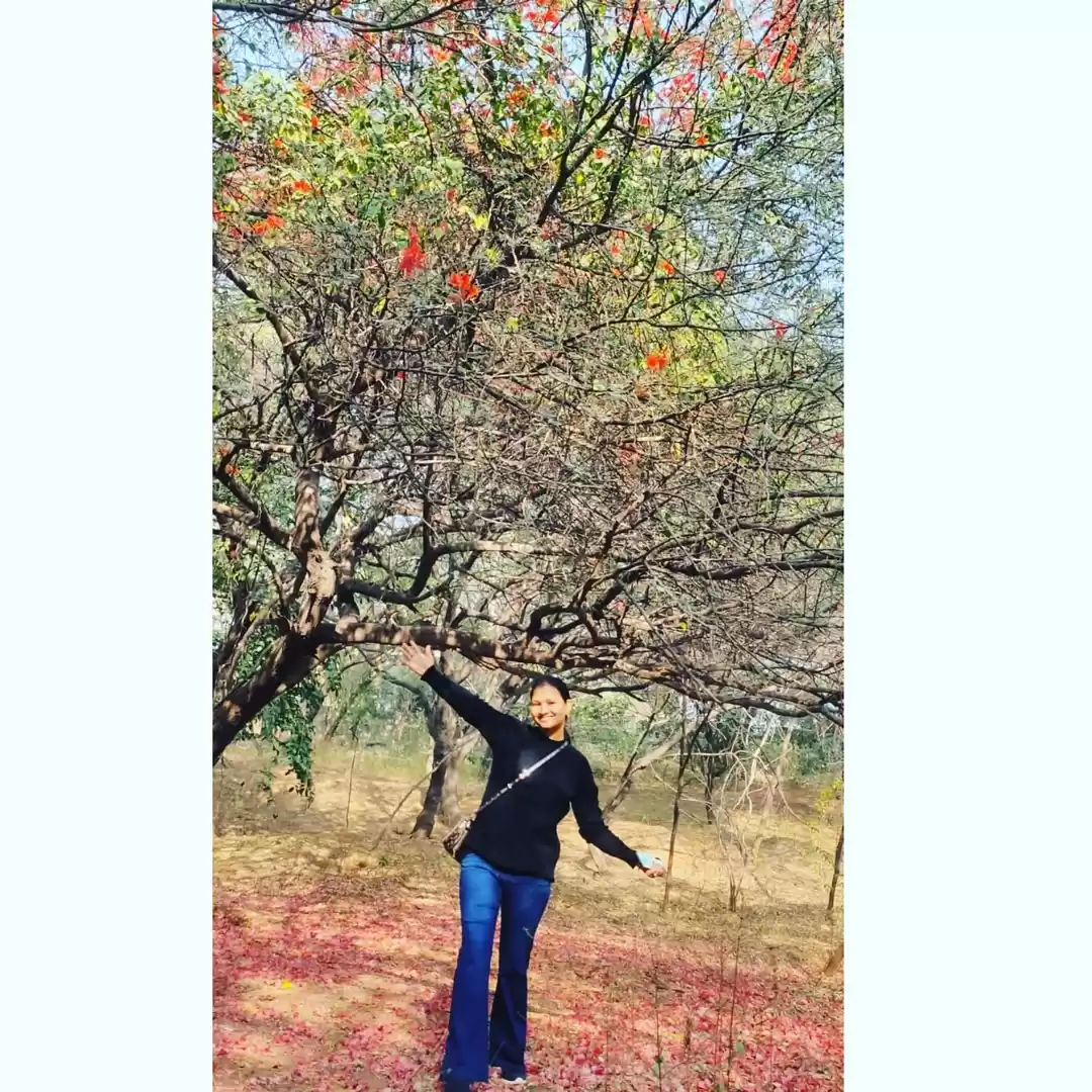 Photo of 3. Smriti Van